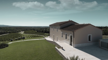 Masseto fine wine vineyard