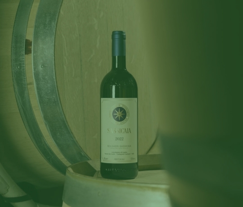 Bolggheri-Sassicaia-Italian-Wine