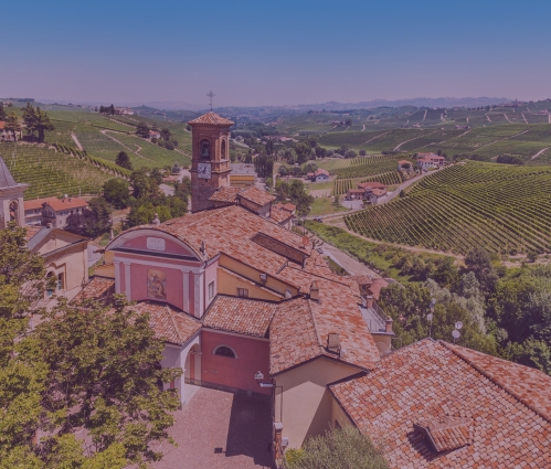 Barolo-Wine-Guide