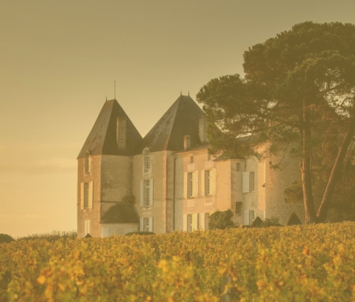 Q1 2026 Fine Wine Report