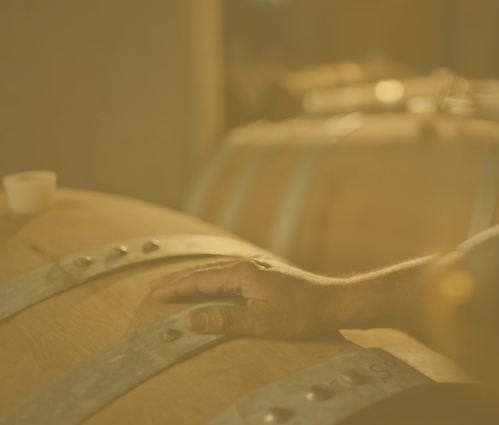 The ultimate En Primeur guide