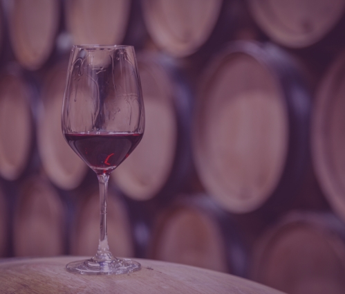 Wine VS Fine Wine