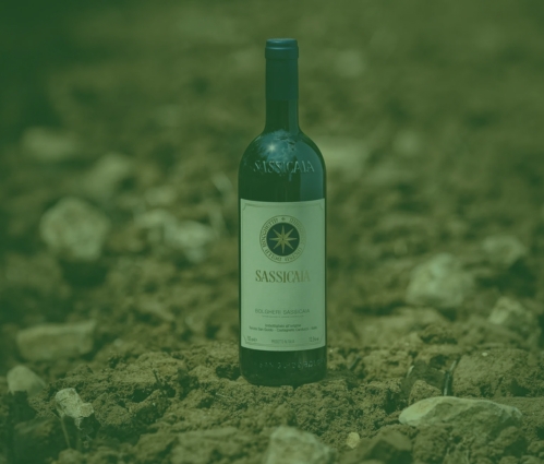 Sassicaia: The Super Tuscan that changed Italian wine forever