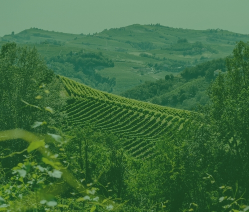 Appellation laws