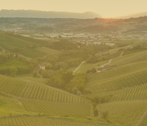 The investor's guide to Gaja
