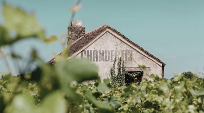 Louis Roederer's Burgundy