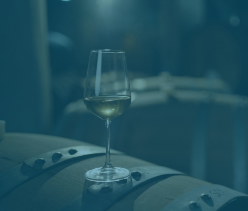 White Burgundy explained