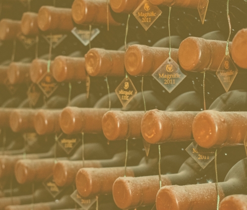 Rows of aged wine bottles binned horizontally in a dim cellar