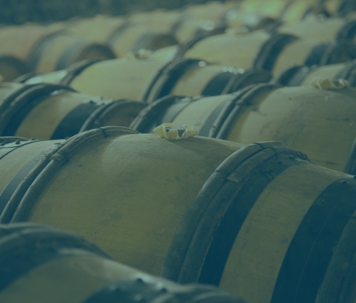 Rows of oak barrels ageing red wine in an old French cellar, the starting point for fine wine investment